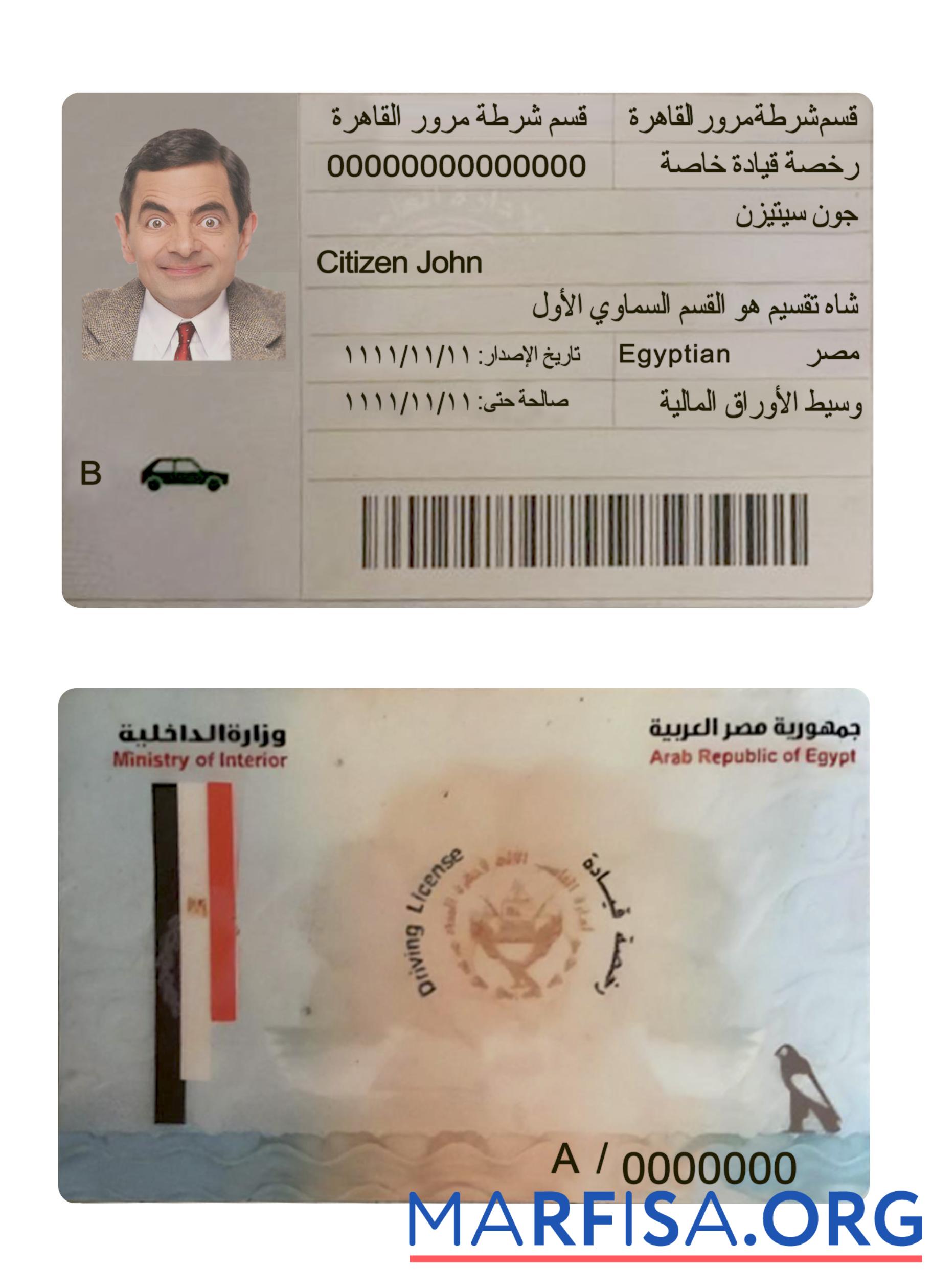 Realistic Egypt driving license template